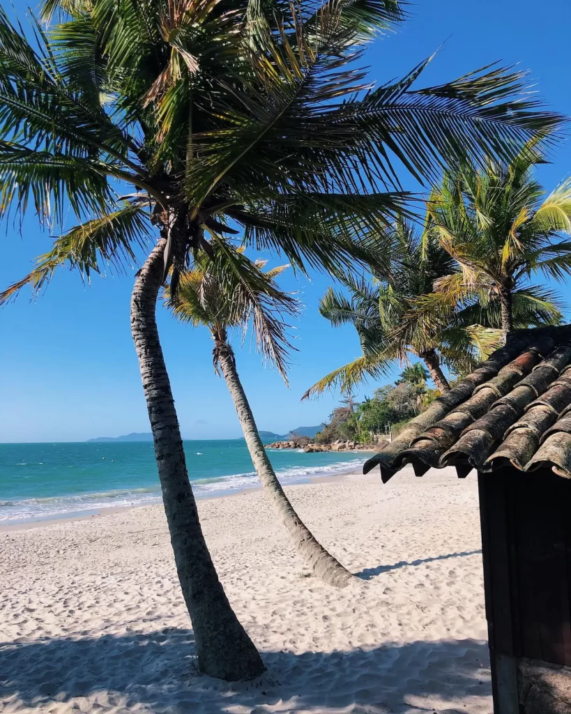 Canajurê: Morar Com Vista Mar Deslumbrante em Florianópolis