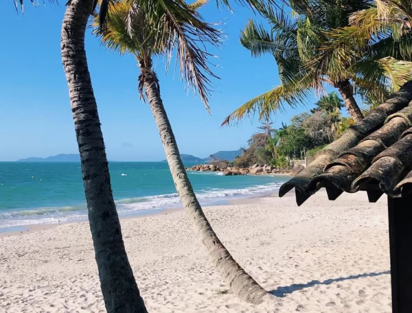 Canajurê: Morar Com Vista Mar Deslumbrante em Florianópolis