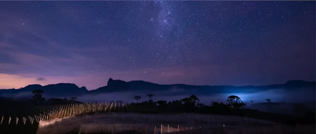 Os terrenos estão à venda e são perfeitos para morar, investir ou passar as férias de inverno na serra catarinense.