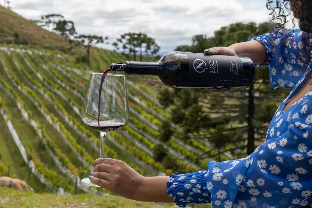 Floripa Wine Festival 2024: Melhores Vinhos de SC, RS e Chile