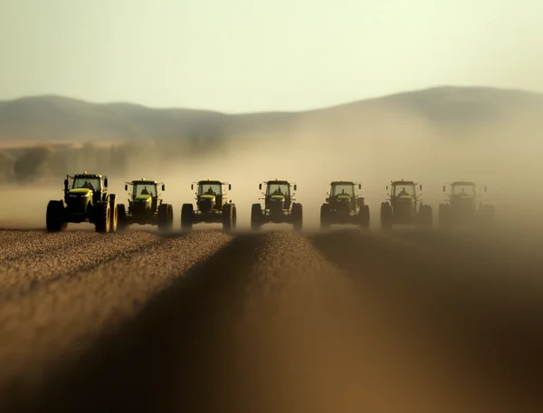 Safra de Soja 2025: Brasil Rumo a um Novo Recorde de Produção?